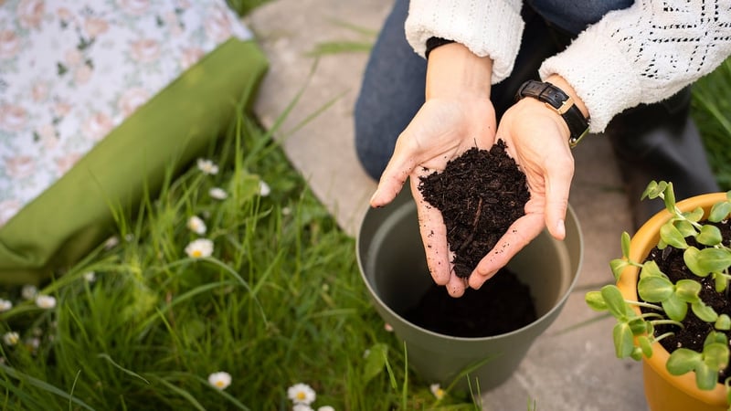 Preparing Soil