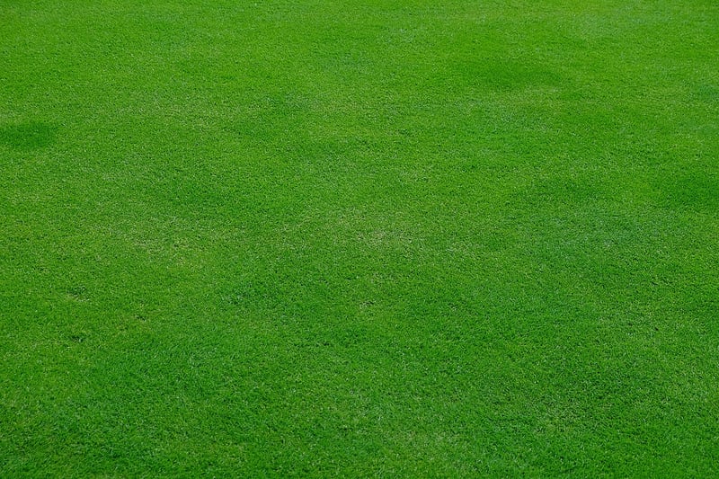 Landscaping Services